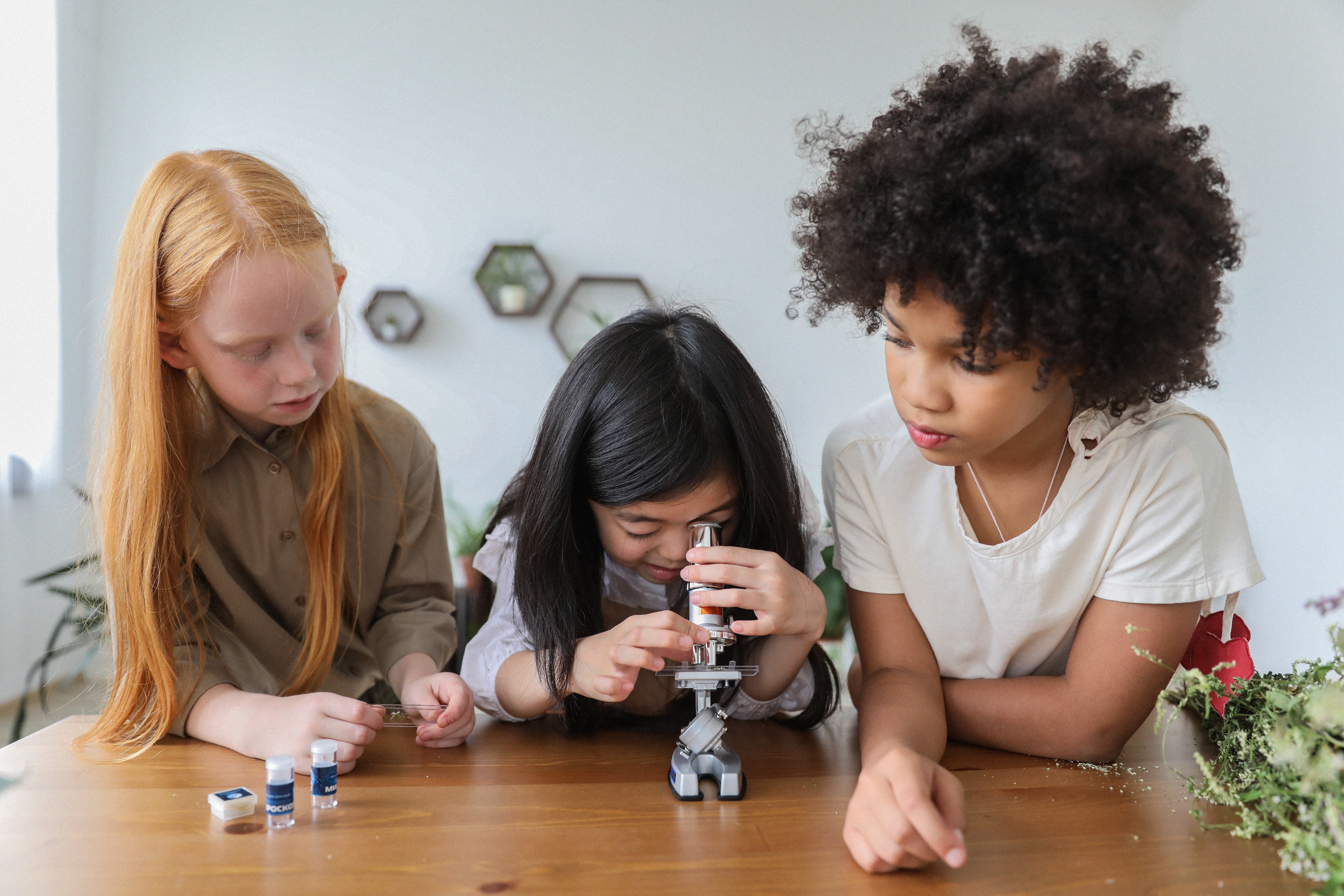 Projet ElleStime — Académie d'Orléans-Tours