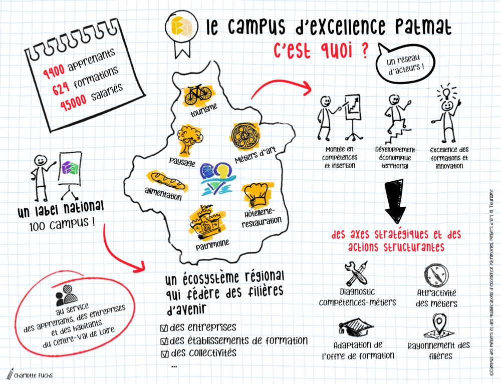 infographie expliquant ce qu'est le campus d'excellence PatMAT