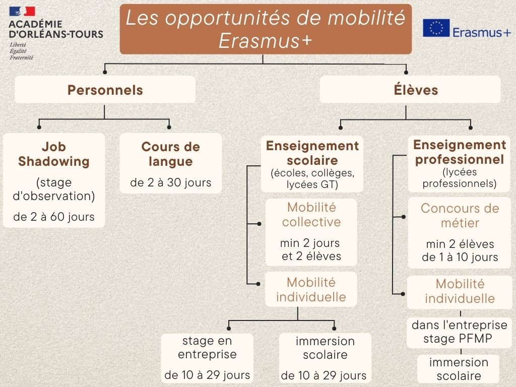 Infographie des différentes mobilités Erasmus possibles dans l'académie Orléans-Tours