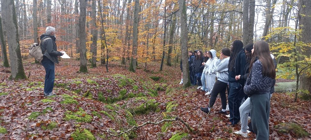 Des élèves découvrent les tranchées des Sablonnières en forêt de Blois