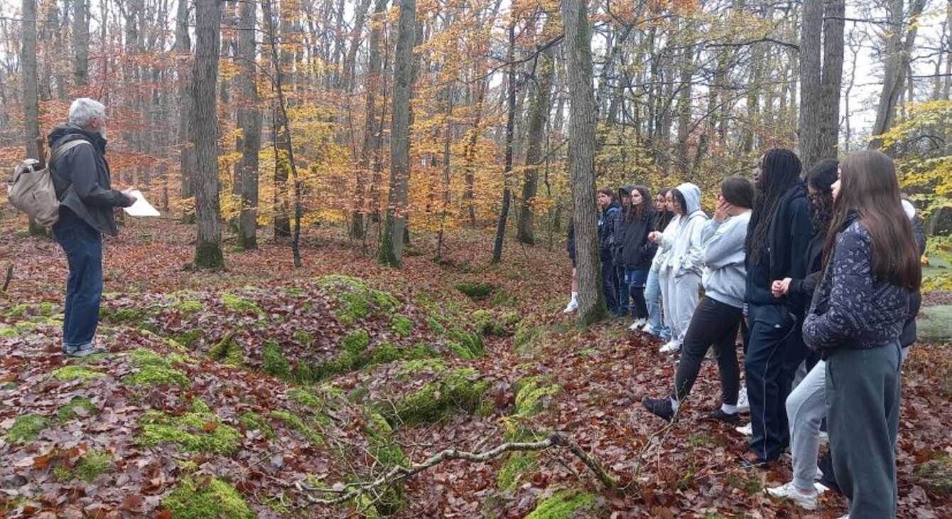 Des élèves découvrent les tranchées des Sablonnières en forêt de Blois