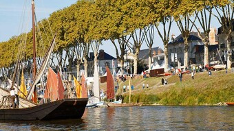Bords de Loire d'Orléans
