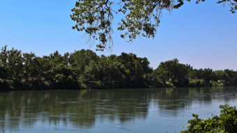 Vue sur une rivière boisée